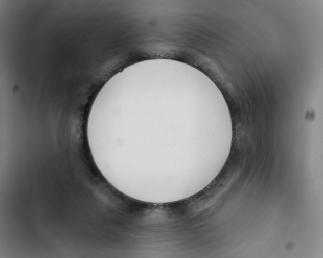 X0000102850259200809151134