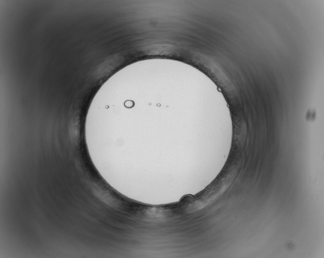 X0000102850261200809151134