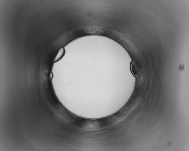 X0000102850263200809151134