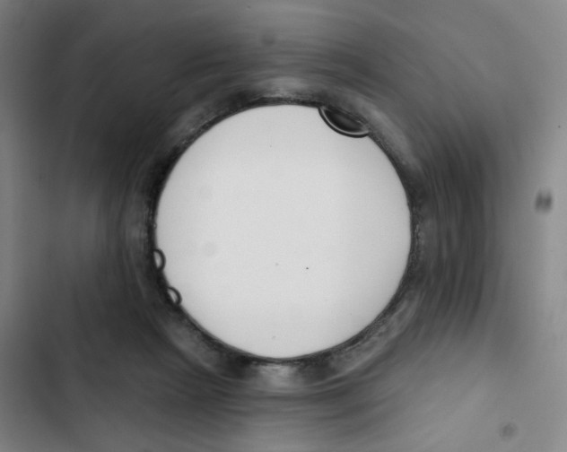 X0000102850265200809151134