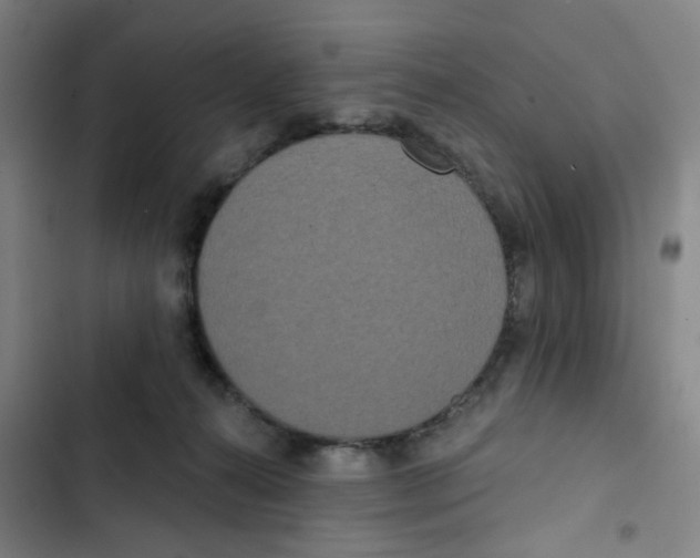 X0000102850272200809151135