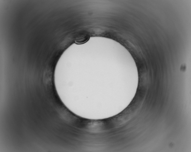 X0000102850274200809151135