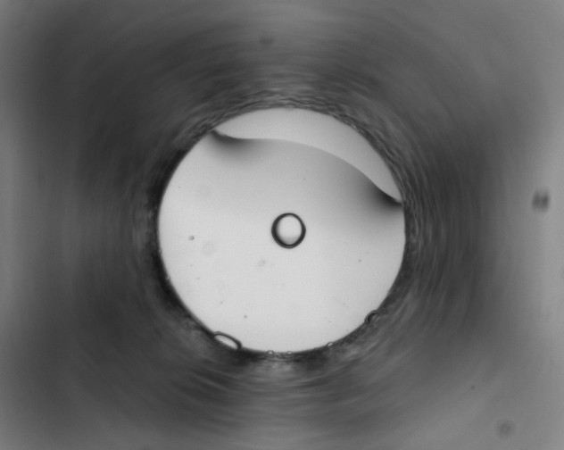 X0000102850276200809151135