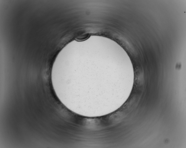 X0000102850277200809151135