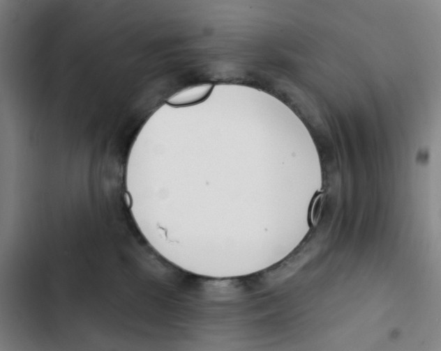 X0000102850281200809151135