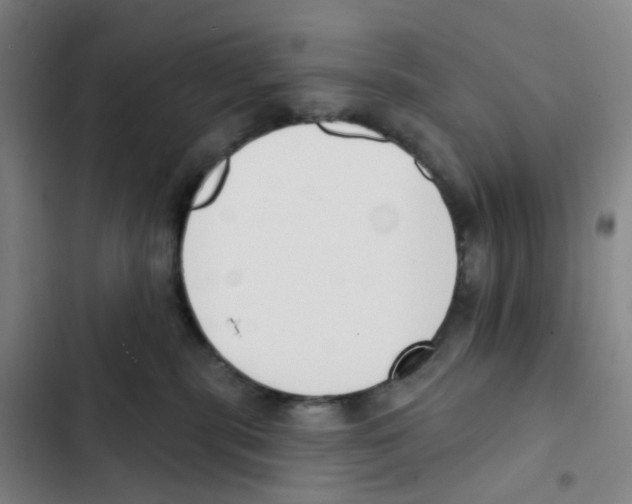 X0000102850283200809151135