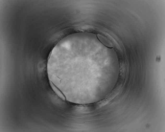 X0000102850284200809151135