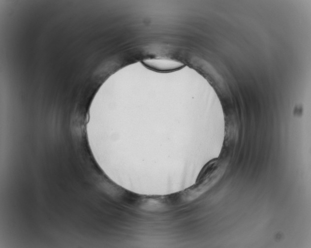 X0000102850285200809151135