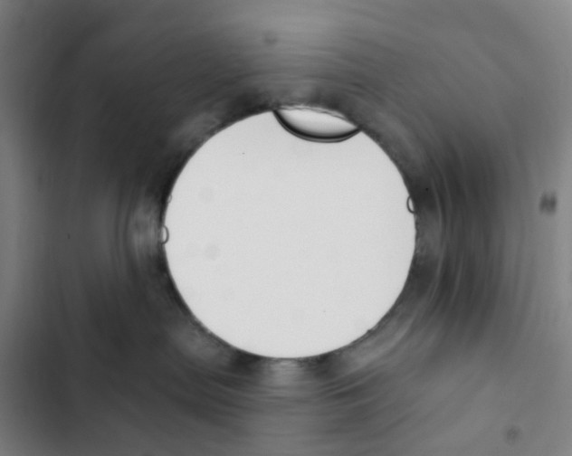 X0000102850287200809151135