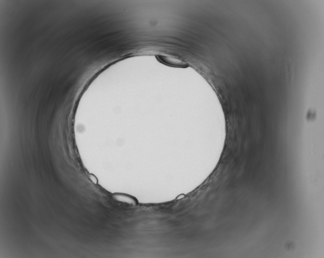 X0000102850289200809151134