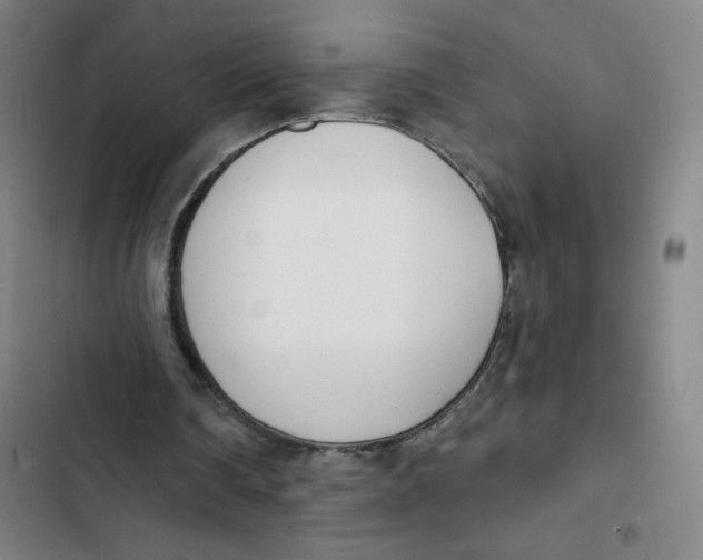 X0000102850290200809151134