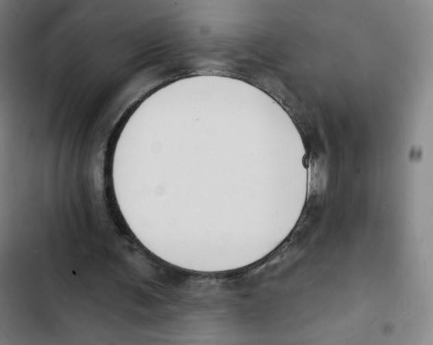 X0000102850291200809151134