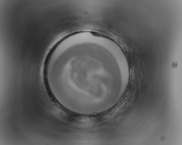 X0000102850292200809151134