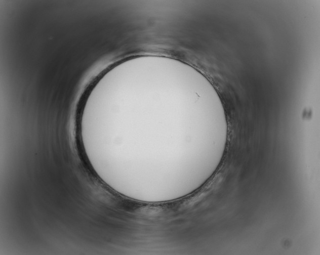 X0000102850294200809151134