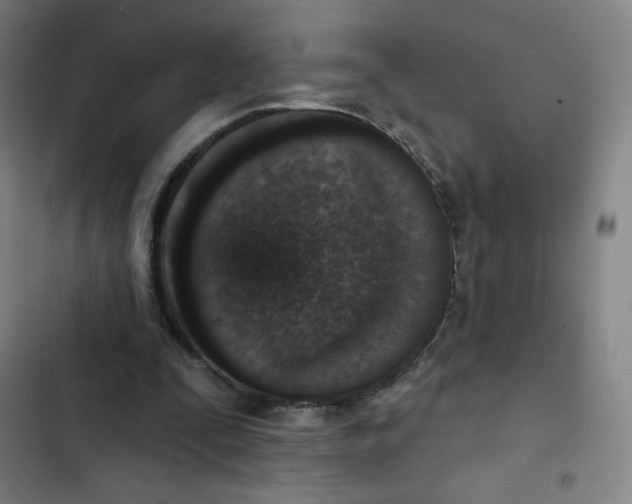 X0000102850295200809151134