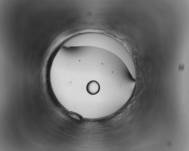 X0000102850296200809151134