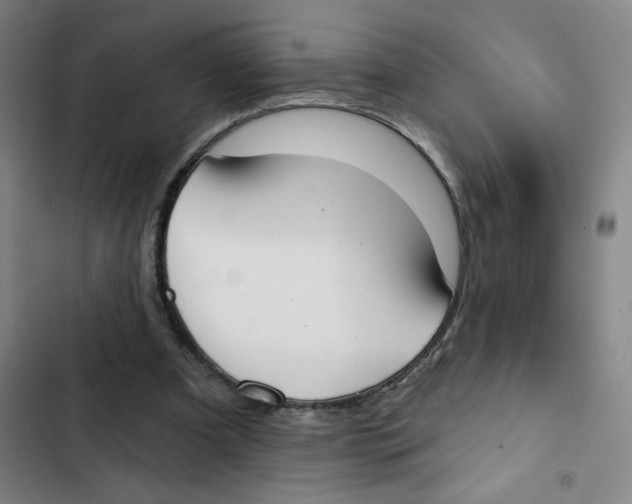 X0000102850297200809151134