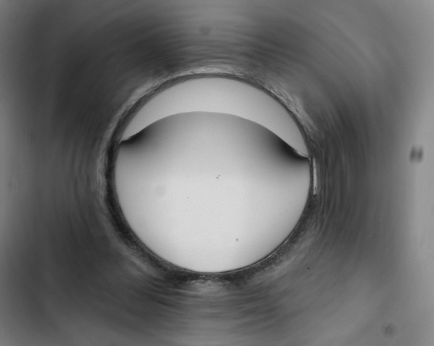 X0000102850300200809151134