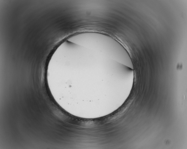 X0000102850301200809151134