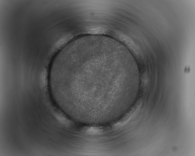 X0000102850303200809151134