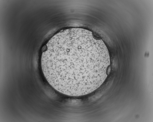 X0000102850304200809151134