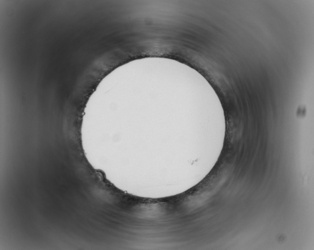 X0000102850307200809151134