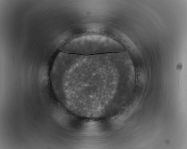 X0000102850312200809151134