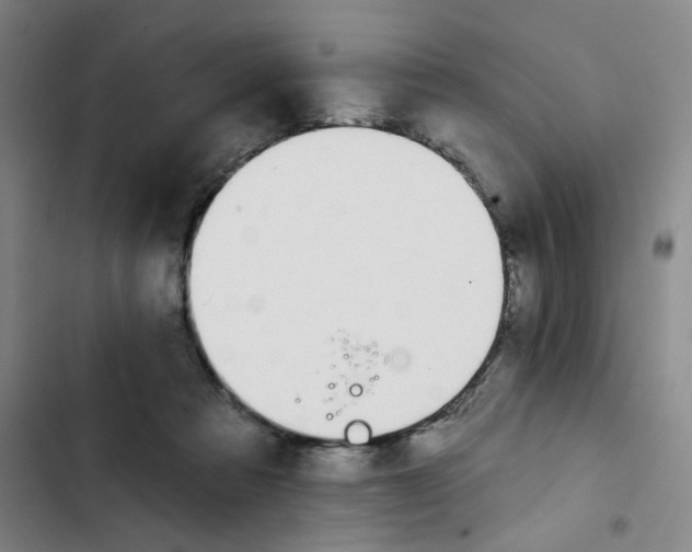 X0000102850313200809151134