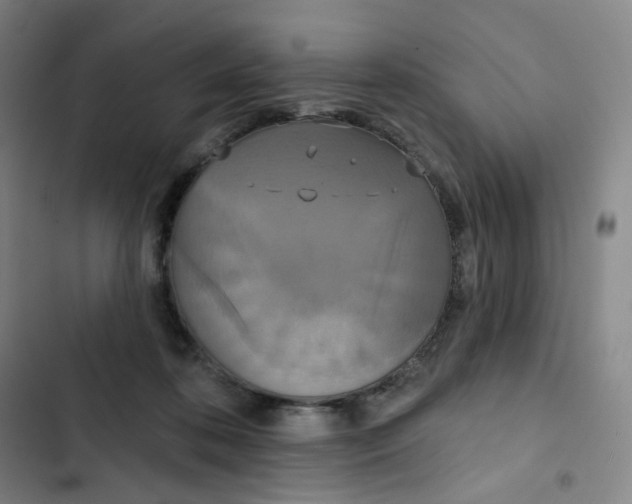 X0000102850316200809151134