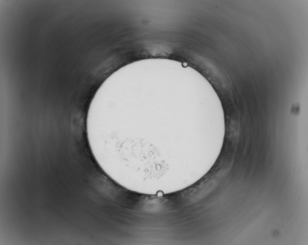 X0000102850321200809151133