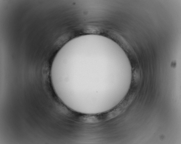 X0000102850322200809151133