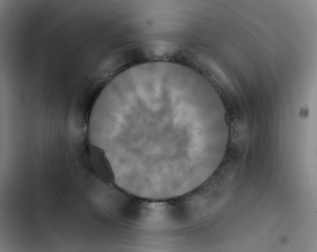 X0000102850324200809151133