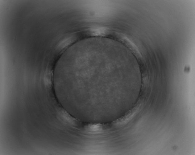 X0000102850325200809151133