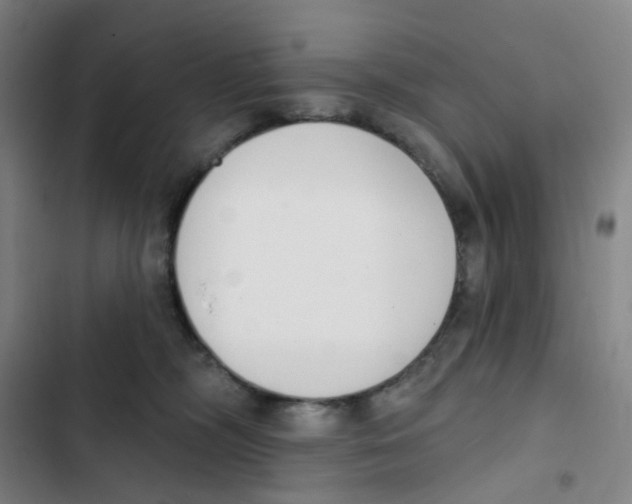 X0000102850326200809151133