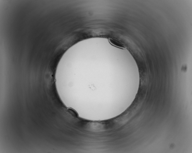 X0000102850327200809151133