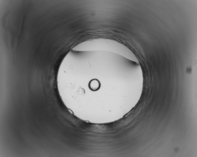 X0000102850328200809151133