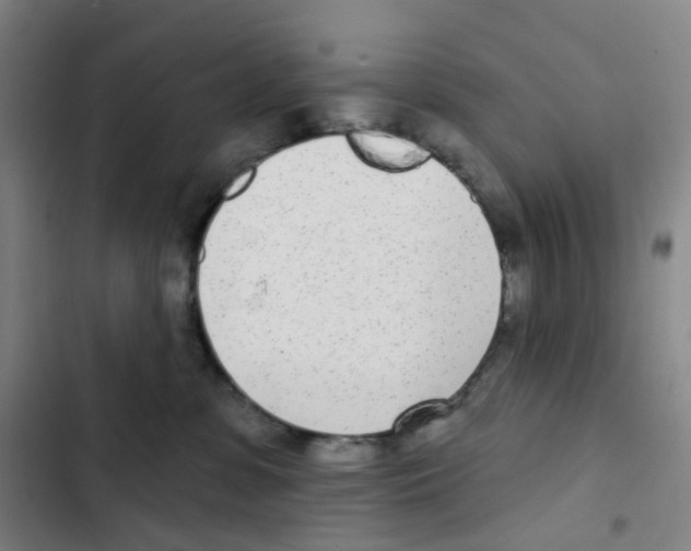 X0000102850331200809151133