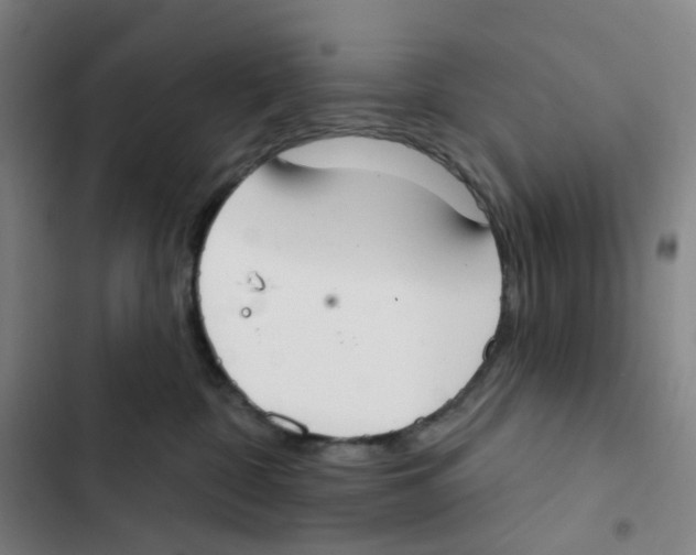 X0000102850332200809151133