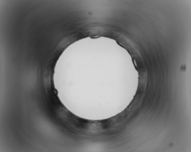 X0000102850333200809151133