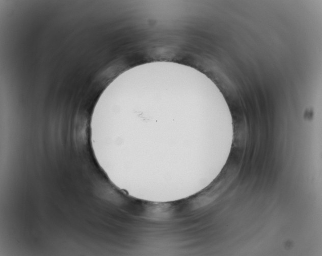 X0000102850334200809151133