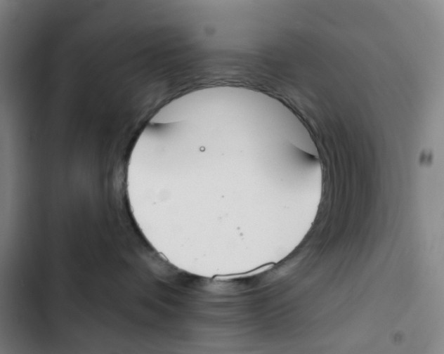 X0000102850336200809151133