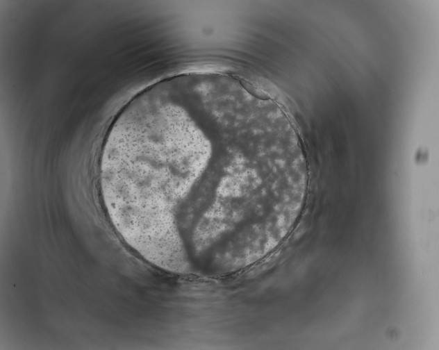 X0000102850337200809151132