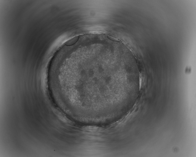 X0000102850339200809151132