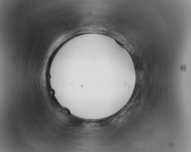 X0000102850340200809151132