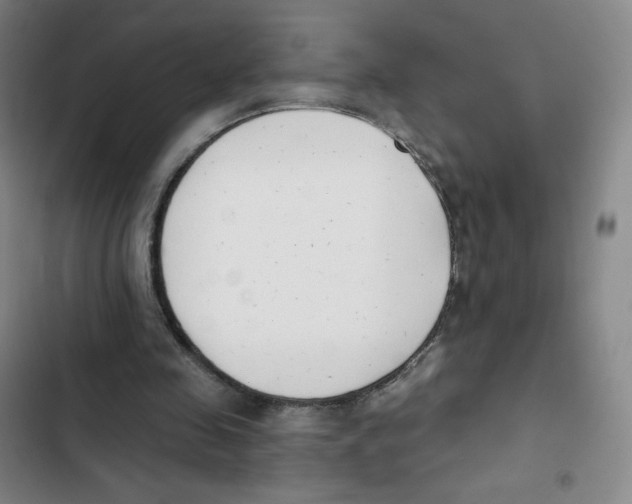 X0000102850341200809151132