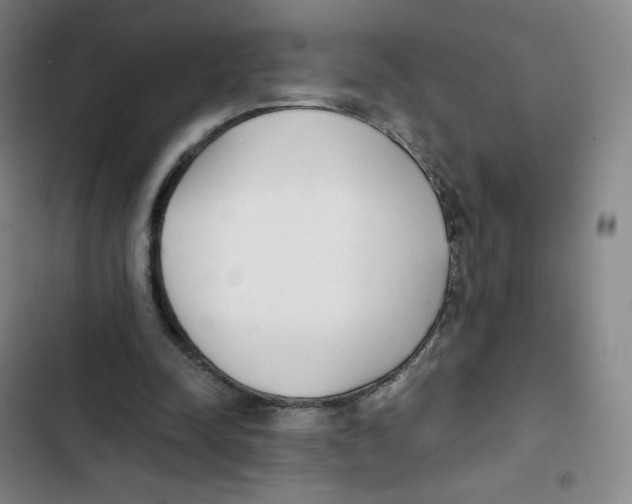 X0000102850342200809151133