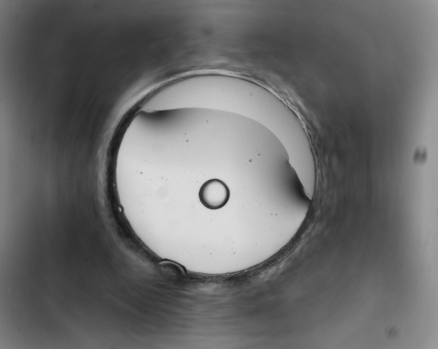 X0000102850344200809151133