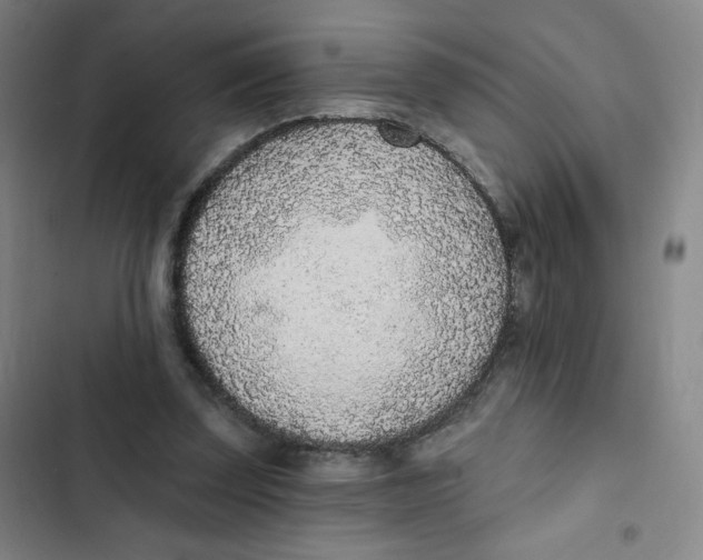 X0000102850347200809151133