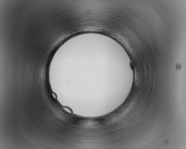 X0000102850348200809151133