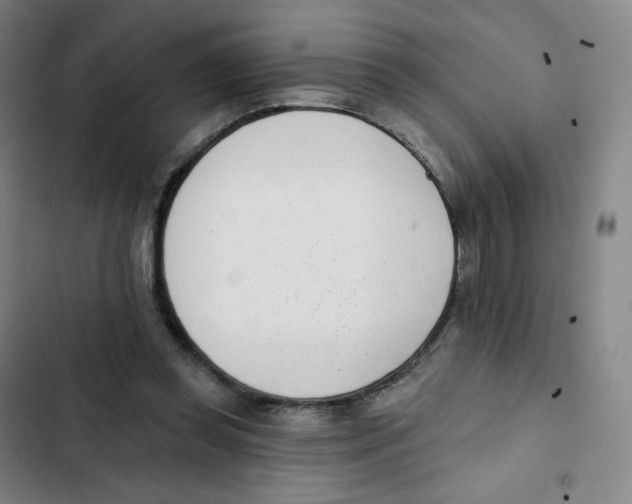 X0000102850349200809151133